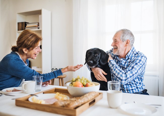 Family sharing a meal