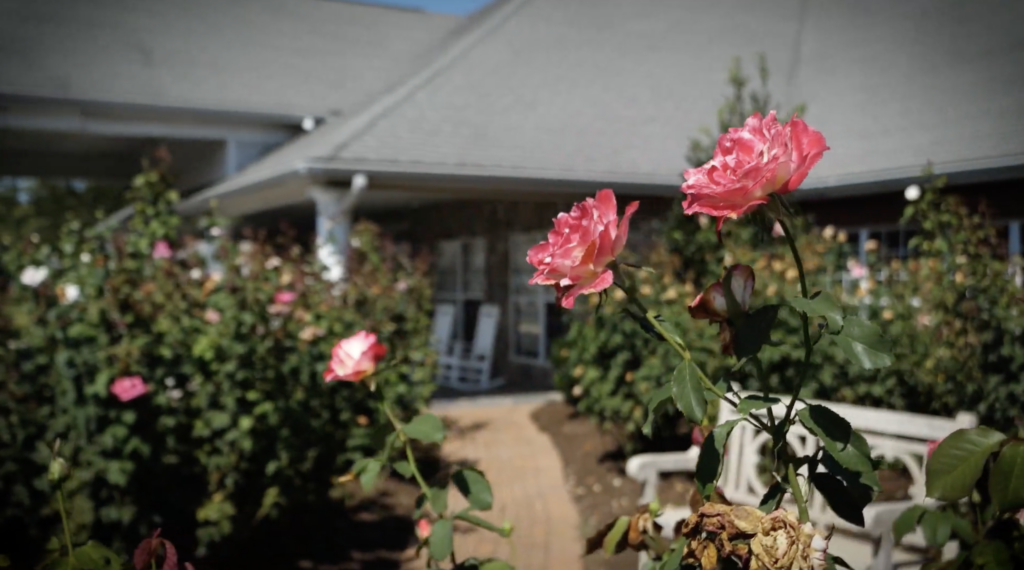 Roses and plants in the foreground with park bench and hospice house in the background
